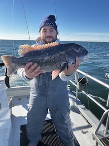 ./IMG_2805_copy_trythis_1776006189311