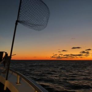 sunrise